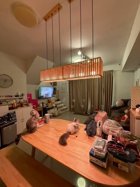 Pleno Bangna-Onnut, Samut Prakan, Soi King Kaew 37, Rachathewa, Bang Plee, Samut Prakan, 3 Bedrooms, 107 sqm, Townhouse For Rent, by ณภัทร พรสิริเมธากุล, 500198920 - DDproperty.com