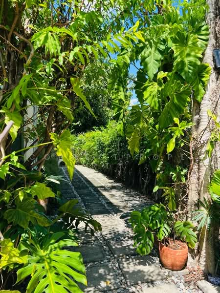 Pruklada Wongwaen-Rattanathibet : พฤกษ์ลดา วงแหวน-รัตนาธิเบศร์, นนทบุรี, บางใหญ่ซิตี้ ซอย 19/2, บางแม่นาง, บางใหญ่, นนทบุรี, 160 ตร.ม., บ้านเดี่ยว ให้เช่า, โดย CorrectProperty, 500198988 - DDproperty.com