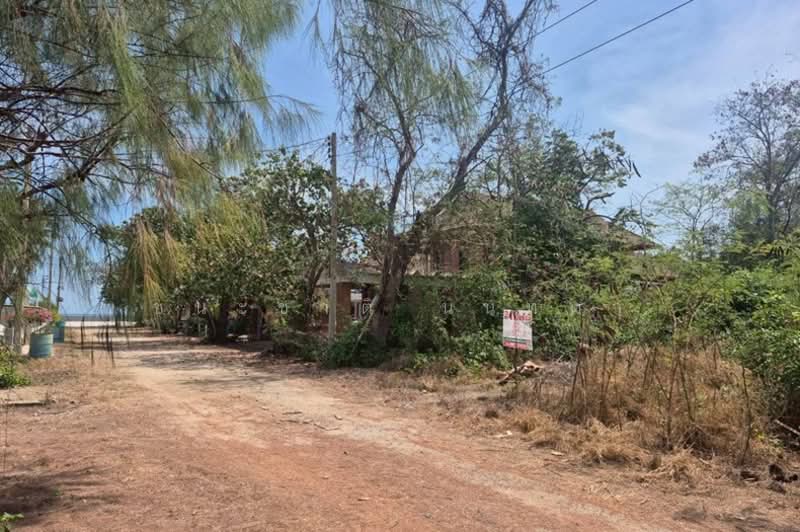 แหลมทองรีสอร์ท, เพชรบุรี, แหลมผักเบี้ย, บ้านแหลม, เพชรบุรี, 804 ตร.ม., ที่ดิน ขาย, โดย ชนะชาติ นนท์ตา, 500199010 - DDproperty.com