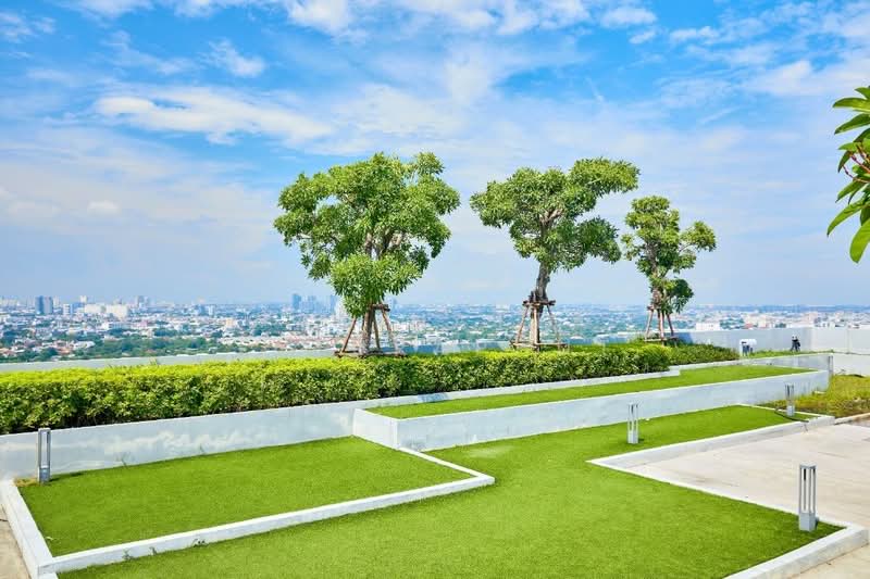 The Base Park East Sukhumvit 77, Bangkok, 99 Soi Pridi Banomyong 2, Phra Kanong Nua, Watthana, Bangkok, 1 Bedroom, 31 sqm, Condo For Rent, by Yaninatta Jaturaphut, 500199055 - DDproperty.com