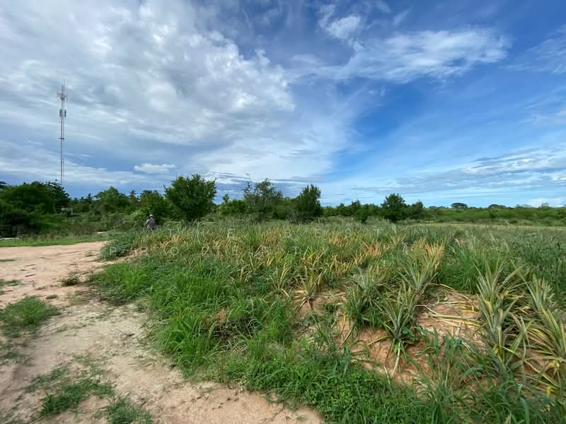 ที่ดินบ่อนอก ประจวบคีรีขันธ์, ประจวบคีรีขันธ์, บ่อนอก, เมืองประจวบคีรีขันธ์, ประจวบคีรีขันธ์, 197,060 ตร.ม., ที่ดิน ขาย, โดย The Best Property ไก่, 500199071 - DDproperty.com