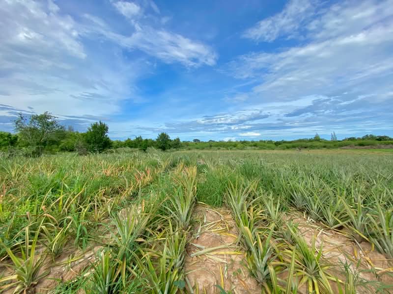 ที่ดินบ่อนอก ประจวบคีรีขันธ์, Prachuap Khiri Khan, Bo Nok, Muang Prachaubkirikhan, Prachuap Khiri Khan, , 197,060 sqm, Land For Sale, by The Best Property  ไก่, 500199071 - DDproperty.com