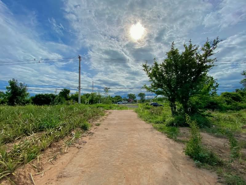 ที่ดินบ่อนอก ประจวบคีรีขันธ์, Prachuap Khiri Khan, Bo Nok, Muang Prachaubkirikhan, Prachuap Khiri Khan, , 197,060 sqm, Land For Sale, by The Best Property  ไก่, 500199071 - DDproperty.com