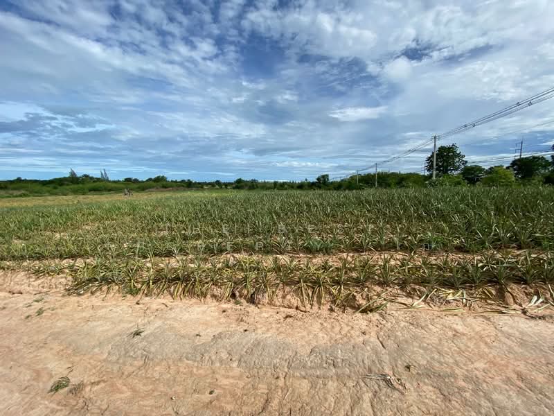 ที่ดินบ่อนอก ประจวบคีรีขันธ์, Prachuap Khiri Khan, Bo Nok, Muang Prachaubkirikhan, Prachuap Khiri Khan, , 197,060 sqm, Land For Sale, by The Best Property  ไก่, 500199071 - DDproperty.com