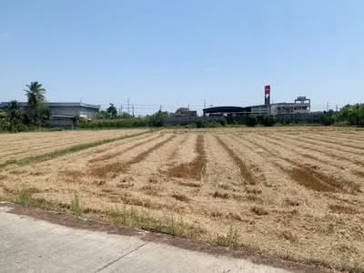 ขาย - ที่ดินสามชุก สุพรรณบุรี, สุพรรณบุรี