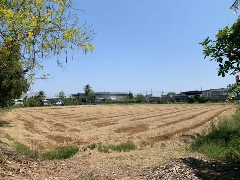 ที่ดินสามชุก สุพรรณบุรี, Suphan Buri, Sam Chuk, Sam Chuk, Suphan Buri, , 9,032 sqm, Land For Sale, by The Best Property ปุ๊ก, 500199088 - DDproperty.com