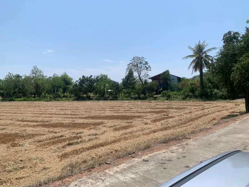 ที่ดินสามชุก สุพรรณบุรี, สุพรรณบุรี, สามชุก, สามชุก, สุพรรณบุรี, 9,032 ตร.ม., ที่ดิน ขาย, โดย The Best Property ปุ๊ก, 500199088 - DDproperty.com