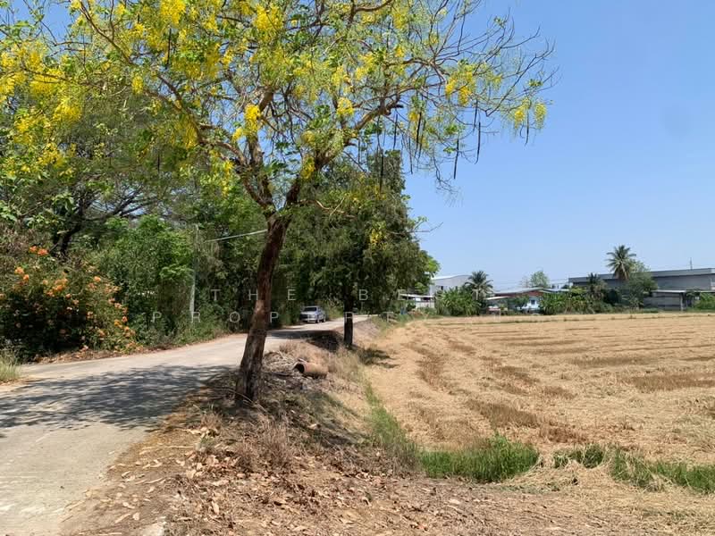 ที่ดินสามชุก สุพรรณบุรี, Suphan Buri, Sam Chuk, Sam Chuk, Suphan Buri, , 9,032 sqm, Land For Sale, by The Best Property ปุ๊ก, 500199088 - DDproperty.com
