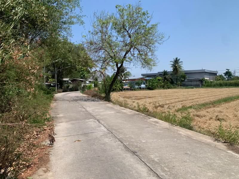 ที่ดินสามชุก สุพรรณบุรี, Suphan Buri, Sam Chuk, Sam Chuk, Suphan Buri, , 9,032 sqm, Land For Sale, by The Best Property ปุ๊ก, 500199088 - DDproperty.com