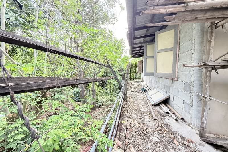 ที่ดินเมืองนนท์ ไม่ถึงล้าน ห่างนครอินทร์เพียง 400 เมตร, Nonthaburi, Suan Yai, Muang Nonthaburi, Nonthaburi, , 104 sqm, Land For Sale, by ศิริเพ็ญ ทองอ่อน, 500199118 - DDproperty.com