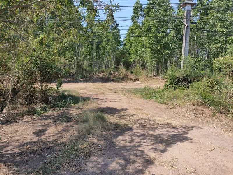 ขาย - ขายที่ดินหนองโพรง ระเบาะไผ่พื้นที่สีม่วง 20 ไร่ ติดถนนสี่เลนกบินทร์บุรี-ฉะเชิงเทรา304, ปราจีนบุรี