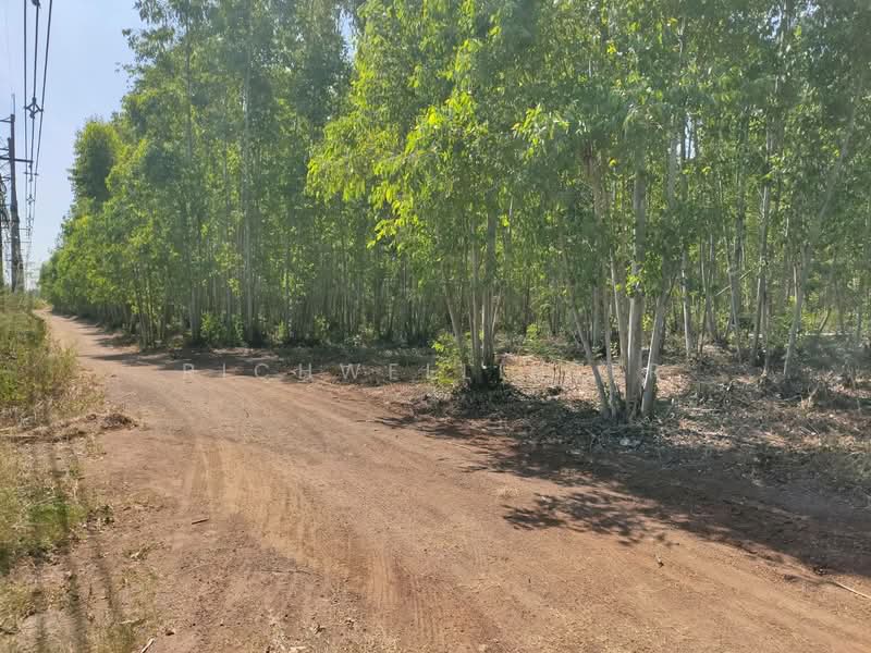 Land for sale in Nong Porong, Rabopai, purple zone, 20 rai,, Prachin Buri, Sri Maha Pho, Sri Maha Pho, Prachin Buri, , 33,404 sqm, Land For Sale, by richwellinter, 500199167 - DDproperty.com