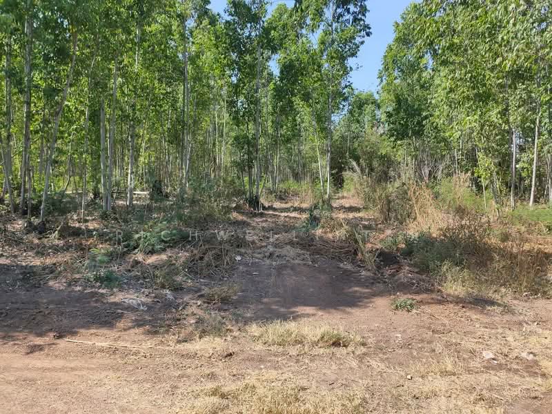 ขาย - ขายที่ดินหนองโพรง ระเบาะไผ่พื้นที่สีม่วง 20 ไร่ ติดถนนสี่เลนกบินทร์บุรี-ฉะเชิงเทรา304, ปราจีนบุรี