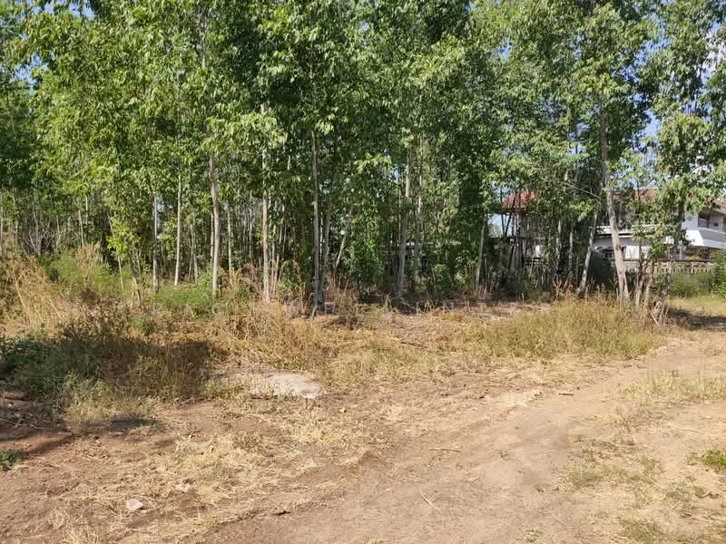Land for sale in Nong Porong, Rabopai, purple zone, 20 rai,, Prachin Buri, Sri Maha Pho, Sri Maha Pho, Prachin Buri, , 33,404 sqm, Land For Sale, by richwellinter, 500199167 - DDproperty.com