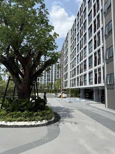 Dcondo Vivid Rangsit : ดีคอนโด วิวิด รังสิต, ปทุมธานี, ถ.พหลโยธิน, คลองหนึ่ง, คลองหลวง, ปทุมธานี, 26 ตร.ม., คอนโด ให้เช่า, โดย caveman property, 500199174 - DDproperty.com