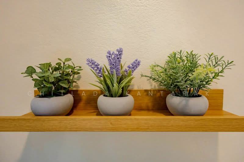 Chiang Mai Riverside Condominium, Chiang Mai, Chaingmai-Lamphun, Nong Hoi, Muang Chiang Mai, Chiang Mai, Studio, 46 sqm, Condo For Sale, by Chitlada Kantarak, 500199180 - DDproperty.com