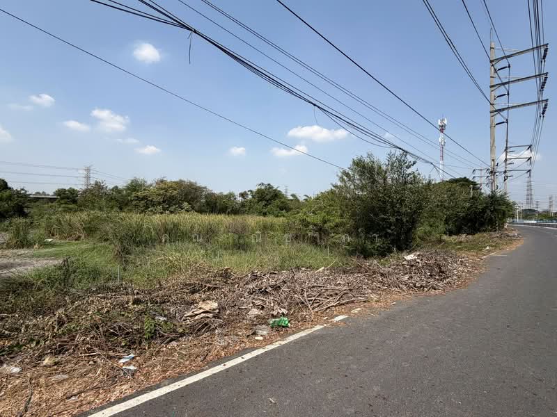 ขายที่ดิน บางตลาด ปากเกร็ด นนทบุรี 5 ไร่ 3 งาน 57 ตร.ว. ติดคลองประปา, นนทบุรี, บางตลาด, ปากเกร็ด, นนทบุรี, 9,428 ตร.ม., ที่ดิน ขาย, โดย คุณ ณิชาภา, 500199188 - DDproperty.com