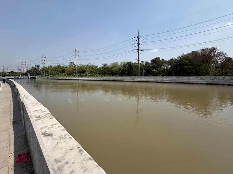 ขายที่ดิน บางตลาด ปากเกร็ด นนทบุรี 5 ไร่ 3 งาน 57 ตร.ว. ติดคลองประปา, นนทบุรี, บางตลาด, ปากเกร็ด, นนทบุรี, 9,428 ตร.ม., ที่ดิน ขาย, โดย คุณ ณิชาภา, 500199188 - DDproperty.com