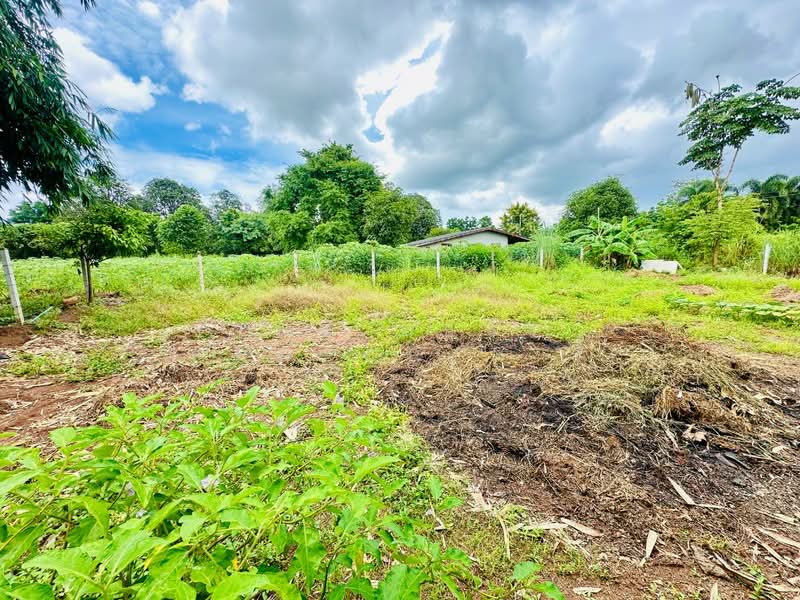 ขาย - บ้านเดี่ยวน้ำพุ ราชบุรี, ราชบุรี