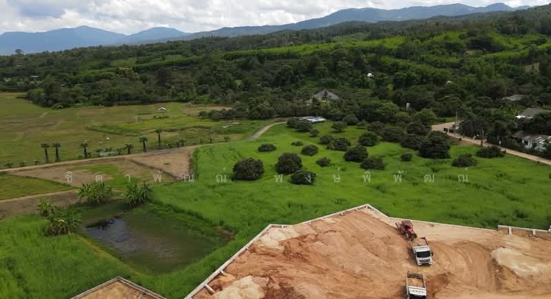 Mae Rim - Sa Luang, Chiang Mai, Sa Luang, Mae Rim, Chiang Mai, , 12,800 sqm, Land For Sale, by ชิตาพัณณ์ พงษ์พิพัฒณ์, 500199276 - DDproperty.com
