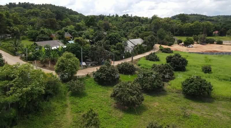 Mae Rim - Sa Luang, Chiang Mai, Sa Luang, Mae Rim, Chiang Mai, , 12,800 sqm, Land For Sale, by ชิตาพัณณ์ พงษ์พิพัฒณ์, 500199276 - DDproperty.com