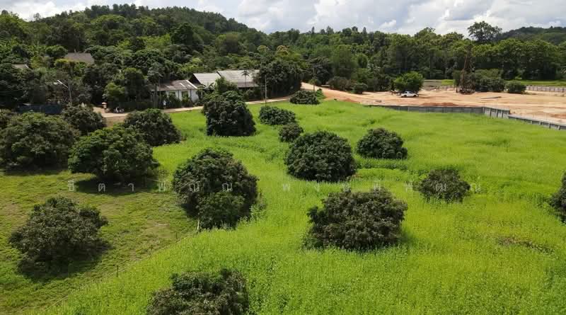 Mae Rim - Sa Luang, Chiang Mai, Sa Luang, Mae Rim, Chiang Mai, , 12,800 sqm, Land For Sale, by ชิตาพัณณ์ พงษ์พิพัฒณ์, 500199276 - DDproperty.com