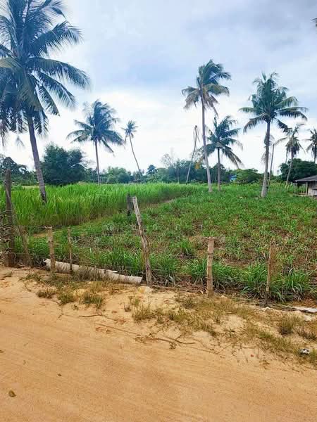 Land For Sale Hauy Yui, Chon Buri (Pattaya), ถนนห้วยใหญ่ - ชากแง้ว, Huai Yai, Bang Lamung (Pattaya), Chon Buri (Pattaya), , 3,200 sqm, Land For Sale, by Nichapa Phiachan, 500199308 - DDproperty.com
