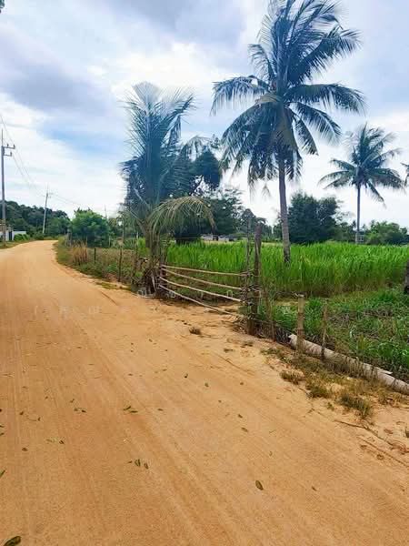 Land For Sale Hauy Yui, Chon Buri (Pattaya), ถนนห้วยใหญ่ - ชากแง้ว, Huai Yai, Bang Lamung (Pattaya), Chon Buri (Pattaya), , 3,200 sqm, Land For Sale, by Nichapa Phiachan, 500199308 - DDproperty.com