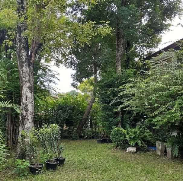 Sammakorn Ramkamhang 112, Bangkok, Saphan Sung, Saphan Sung, Bangkok, 4 Bedrooms, 250 sqm, Villa For Rent, by Supajee Wattanarom, 500199315 - DDproperty.com