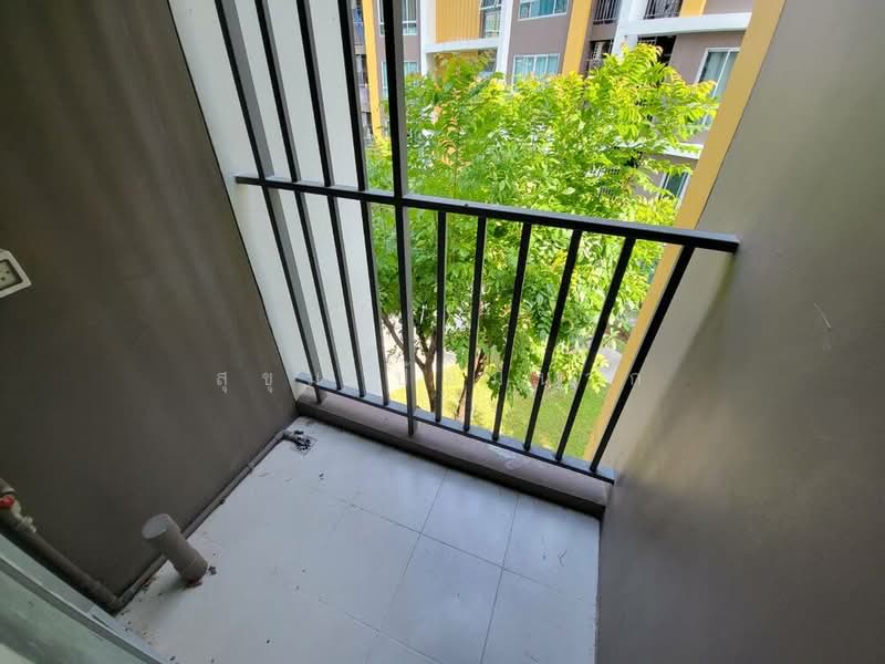 Dcondo Campus Resort Bangsaen, Chon Buri (Pattaya), 19-15 Bangsaen Sai 4 S Rd, Saen Suk, Muang Chon Buri, Chon Buri (Pattaya), 1 Bedroom, 30 sqm, Condo For Rent, by สุขุม ป้อมนาก, 500199352 - DDproperty.com