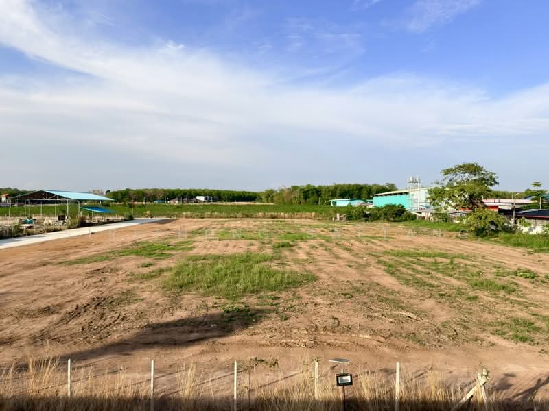 ให้เช่า - เช่า/ขาย ที่ดินถนนหลังวัดมาบตาพุด (ซอยลุงอ๋อง ตรงข้ามตลาดนิวนอมอล) เมืองระยอง, ระยอง