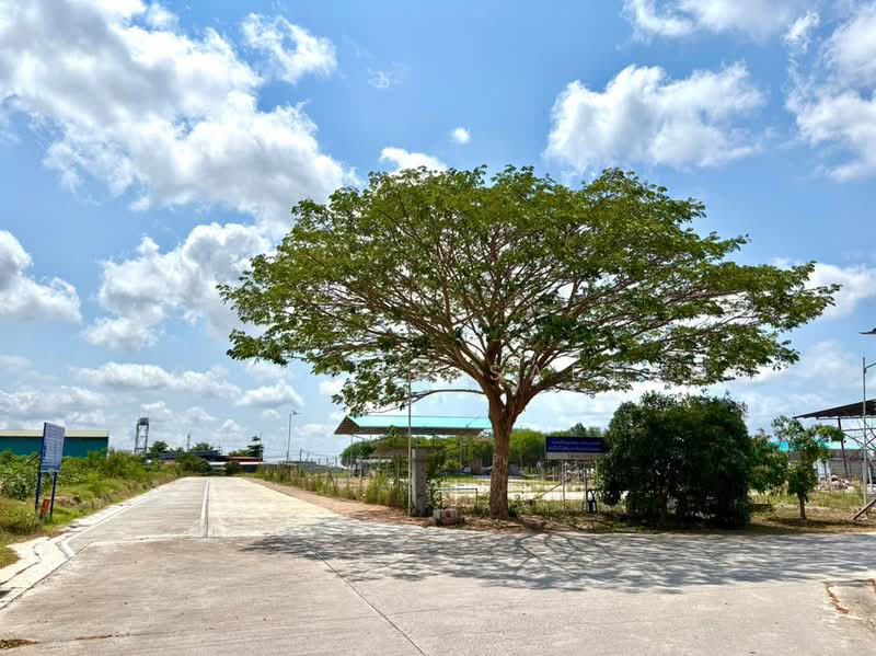 Land for rent Road behind Wat Map Ta Phut, Map Ta Phut Subdistrict, Mueang Rayong, Rayong, หลังวัดมาบตาพุด, Map Ta Phut, Muang Rayong, Rayong, , 1,276 sqm, Land For Rent, by Sirithong Saetang, 500199435 - DDproperty.com