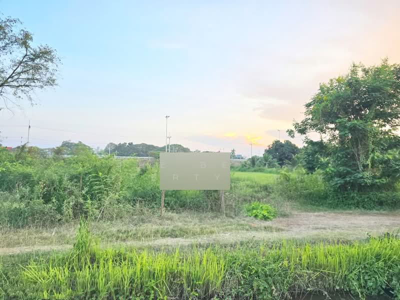 ขาย - ที่ดินโพรงมะเดื่อ นครปฐม, นครปฐม