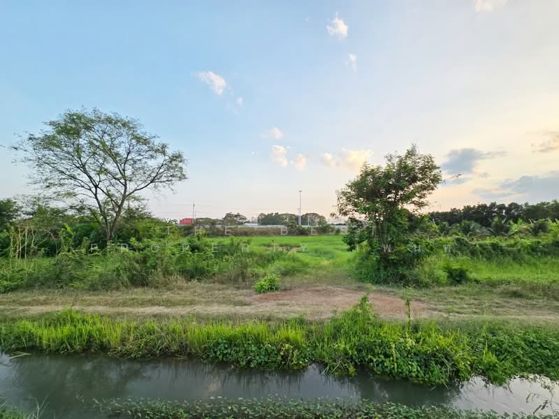 ขาย - ที่ดินโพรงมะเดื่อ นครปฐม, นครปฐม