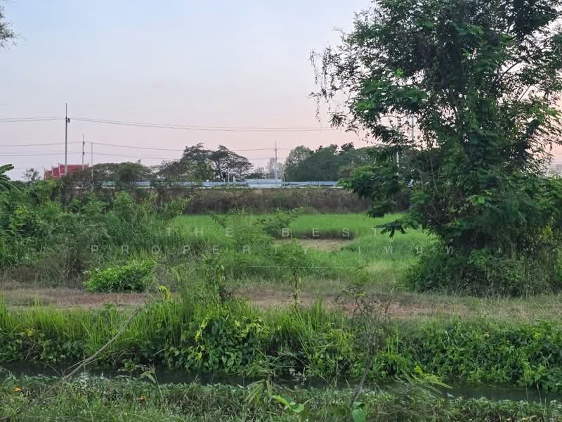 For Sale - ที่ดินโพรงมะเดื่อ นครปฐม, Nakhon Pathom