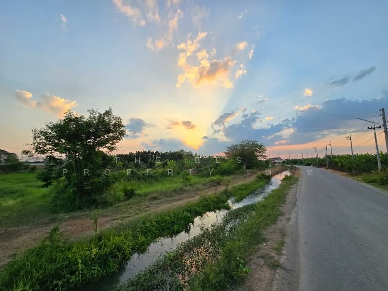 For Sale - ที่ดินโพรงมะเดื่อ นครปฐม, Nakhon Pathom