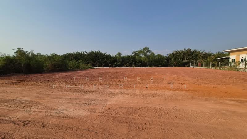 ที่ดินนางตะเคียน สมุทรสงคราม, Samut Songkhram, Nang Ta Khian, Muang Samut Songkhram, Samut Songkhram, , 4,412 sqm, Land For Sale, by The Best Property อิ๋ว, 500199488 - DDproperty.com