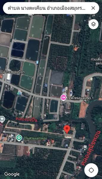 ที่ดินนางตะเคียน สมุทรสงคราม, สมุทรสงคราม, นางตะเคียน, เมืองสมุทรสงคราม, สมุทรสงคราม, 4,412 ตร.ม., ที่ดิน ขาย, โดย The Best Property อิ๋ว, 500199488 - DDproperty.com