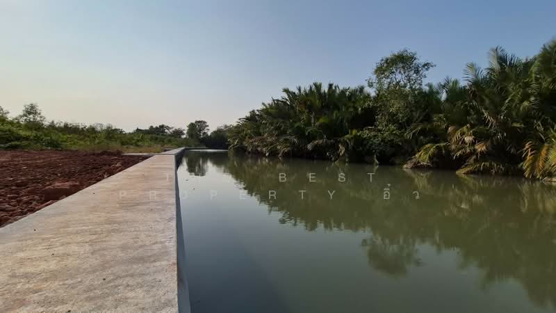 ที่ดินนางตะเคียน สมุทรสงคราม, Samut Songkhram, Nang Ta Khian, Muang Samut Songkhram, Samut Songkhram, , 4,412 sqm, Land For Sale, by The Best Property อิ๋ว, 500199488 - DDproperty.com