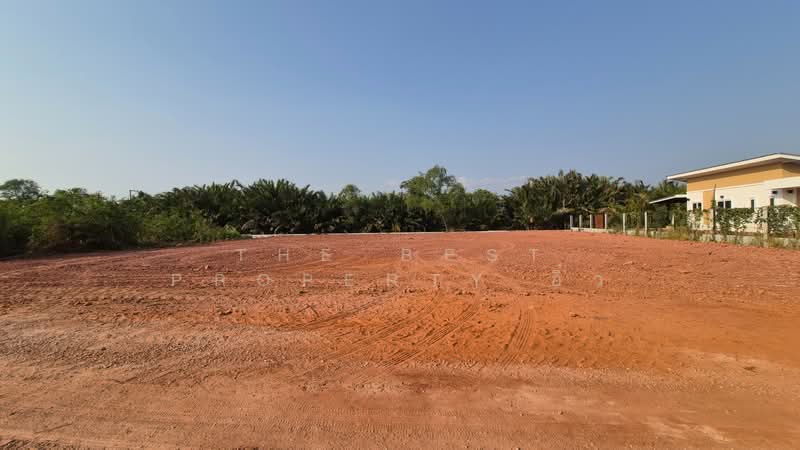 ที่ดินนางตะเคียน สมุทรสงคราม, Samut Songkhram, Nang Ta Khian, Muang Samut Songkhram, Samut Songkhram, , 4,412 sqm, Land For Sale, by The Best Property อิ๋ว, 500199488 - DDproperty.com