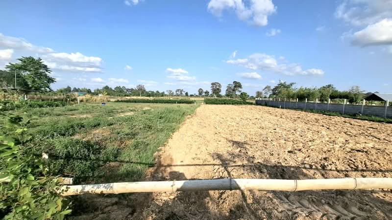 ขาย - ที่ดินธวัชบุรี ร้อยเอ็ด, ร้อยเอ็ด