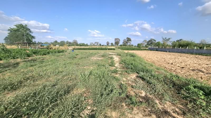 ที่ดินธวัชบุรี ร้อยเอ็ด, Roi Et, Nong Phai, Thawat Buri, Roi Et, , 400 sqm, Land For Sale, by The Best Property ทองใบ, 500199528 - DDproperty.com