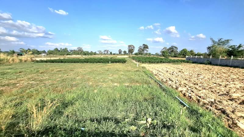 ขาย - ที่ดินธวัชบุรี ร้อยเอ็ด, ร้อยเอ็ด