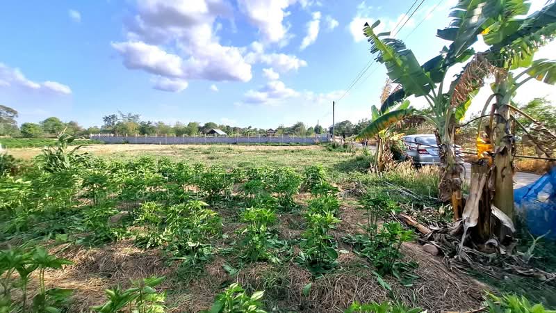 ขาย - ที่ดินธวัชบุรี ร้อยเอ็ด, ร้อยเอ็ด