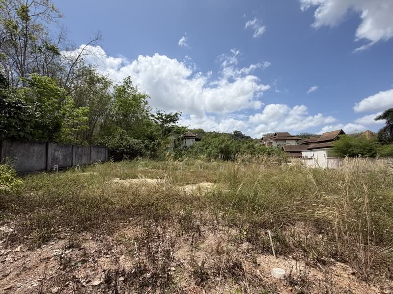 ขายด่วนถูกที่สุด ที่ดินใกล้อ่างเก็บน้ำแก้มลิง มอ, สงขลา, ถนน บีเบิร์ด, คอหงส์, หาดใหญ่, สงขลา, 600 ตร.ม., ที่ดิน ขาย, โดย ศุภกฤต ยืนยงสวัสดิ์, 500199534 - DDproperty.com