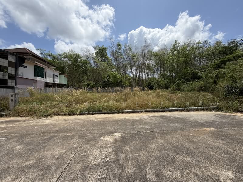 ขายด่วนถูกที่สุด ที่ดินใกล้อ่างเก็บน้ำแก้มลิง มอ, สงขลา, ถนน บีเบิร์ด, คอหงส์, หาดใหญ่, สงขลา, 600 ตร.ม., ที่ดิน ขาย, โดย ศุภกฤต ยืนยงสวัสดิ์, 500199534 - DDproperty.com