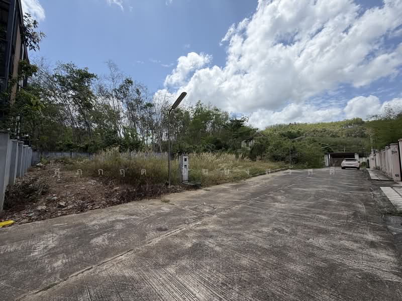 ขายด่วนถูกที่สุด ที่ดินใกล้อ่างเก็บน้ำแก้มลิง มอ, Songkhla, ถนน บีเบิร์ด, Kho Hong, Hat Yai, Songkhla, , 600 sqm, Land For Sale, by ศุภกฤต ยืนยงสวัสดิ์, 500199534 - DDproperty.com