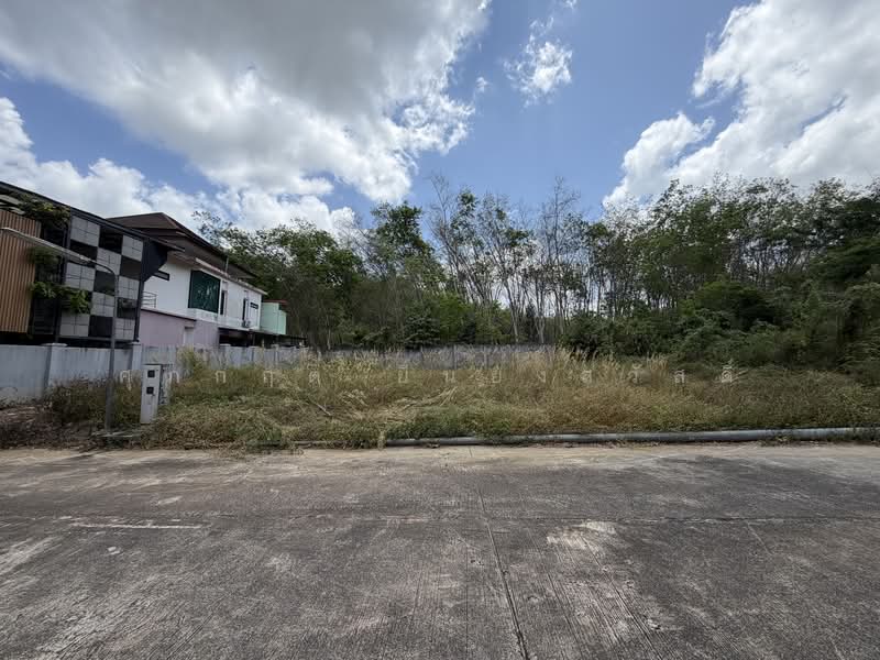 ขายด่วนถูกที่สุด ที่ดินใกล้อ่างเก็บน้ำแก้มลิง มอ, สงขลา, ถนน บีเบิร์ด, คอหงส์, หาดใหญ่, สงขลา, 600 ตร.ม., ที่ดิน ขาย, โดย ศุภกฤต ยืนยงสวัสดิ์, 500199534 - DDproperty.com