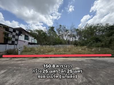 ขาย - ขายด่วนถูกที่สุด ที่ดินใกล้อ่างเก็บน้ำแก้มลิง มอ, สงขลา