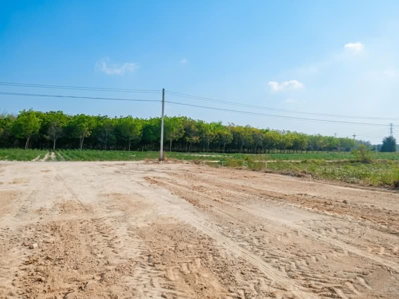 ที่ดินปลวกแดง ระยอง, Rayong, Mae Nam Khu, Pluak Daeng, Rayong, , 1,600 sqm, Land For Sale, by The Best Property ตอง, 500199540 - DDproperty.com